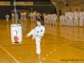 Fastelavn2015TKD (11 of 92).jpg