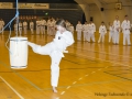 Fastelavn2015TKD (14 of 92).jpg