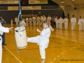 Fastelavn2015TKD (15 of 92).jpg