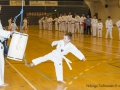 Fastelavn2015TKD (18 of 92).jpg