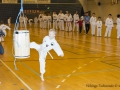 Fastelavn2015TKD (19 of 92).jpg