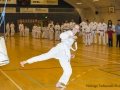 Fastelavn2015TKD (23 of 92).jpg