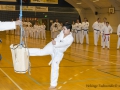 Fastelavn2015TKD (24 of 92).jpg