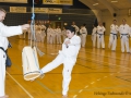 Fastelavn2015TKD (25 of 92).jpg