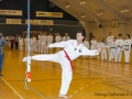 Fastelavn2015TKD (29 of 92).jpg