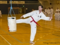 Fastelavn2015TKD (3 of 92).jpg