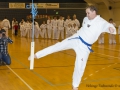 Fastelavn2015TKD (30 of 92).jpg