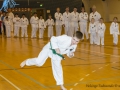 Fastelavn2015TKD (32 of 92).jpg