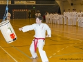 Fastelavn2015TKD (4 of 92).jpg