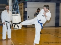 Fastelavn2015TKD (40 of 92).jpg