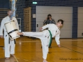 Fastelavn2015TKD (43 of 92).jpg