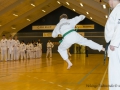 Fastelavn2015TKD (59 of 92).jpg