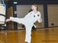 Fastelavn2015TKD (60 of 92).jpg