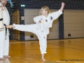Fastelavn2015TKD (61 of 92).jpg