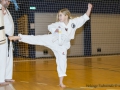 Fastelavn2015TKD (61 of 92).jpg