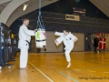 Fastelavn2015TKD (71 of 92).jpg