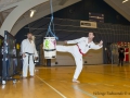 Fastelavn2015TKD (72 of 92).jpg