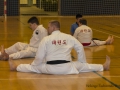 Fastelavn2015TKD (83 of 92).jpg