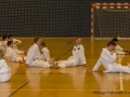 Fastelavn2015TKD (85 of 92).jpg