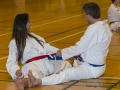 Fastelavn2015TKD (86 of 92)-ture_alsvik.jpg