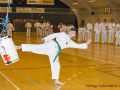 Fastelavn2015TKD (9 of 92).jpg