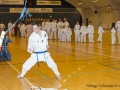 Fastelavn2015TKD (91 of 92).jpg