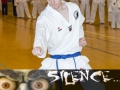 Fastelavn2015TKD (92 of 92)iky.jpg