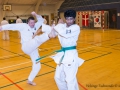 TKD_20_03_15-15.jpg