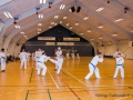 TKD_20_03_15-16.jpg