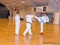 TKD_20_03_15-17.jpg