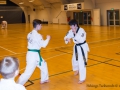 TKD_20_03_15-21.jpg