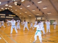 TKD_20_03_15-25.jpg