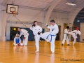 TKD_20_03_15-40-Ture-alsvik.jpg