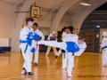 TKD_20_03_15-42.jpg