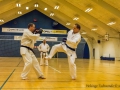 TKD_20_03_15-45.jpg